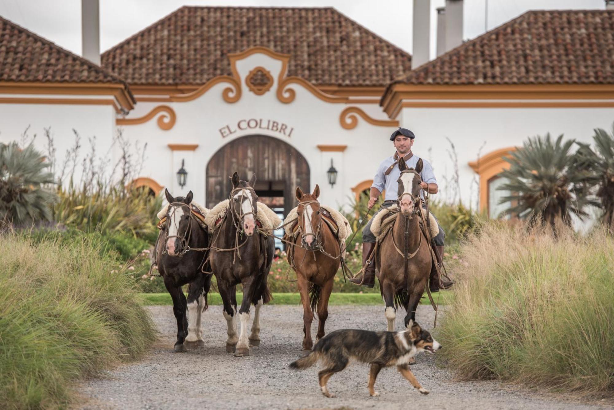 El Colibri - Relais & Chateaux Санта-Каталина Экстерьер фото